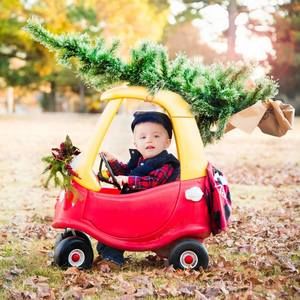 Meet your Posher, Sunny